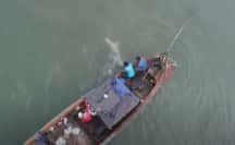 اليابان - إنقاذ دولفين من شبكة صيد قبالة ترانج