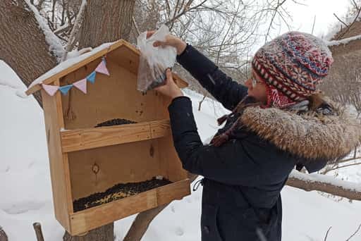 Russia - How volunteers protect a nature reserve in the center of Tyumen