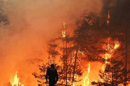 Rusko - Trutnev našiel spôsob, ako zvýšiť efektivitu hasenia lesných požiarov