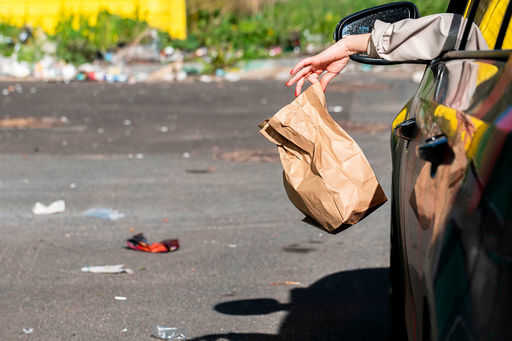 Държавната дума одобри глоби за изхвърляне на боклук от автомобили