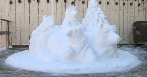 Канада – „Волим поларне медведе“: жене Саскатуна користе палубу као поставку за скулптуру поларног медведа