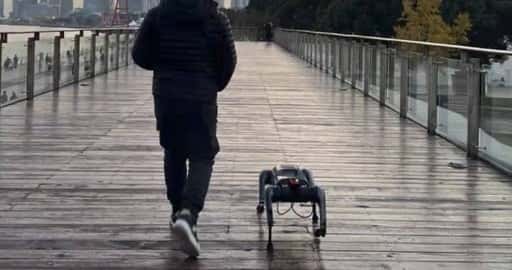 Ali bi lahko psi roboti, ko gredo na ulice Kitajske, kdaj ponovili družbo človekovega najboljšega prijatelja?