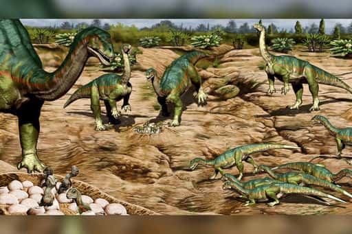 Paleontologists find disappearing dinosaur footprints in Canada