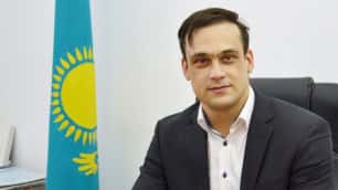 Ilya Ilyin reagerade på frihetsberövandet av sin bror