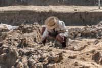 Russie - Des trésors archéologiques vieux de 8 500 ans découverts à Abu Dhabi