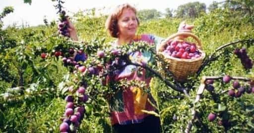 Moldovan authorities will develop more opportunities for women in agriculture