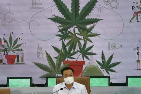 Tailandia, un paso más cerca de despenalizar la marihuana