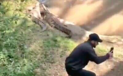 Израиль: Любитель селфи проник в вольер с крокодилами в зоопарке Рамат-Гана