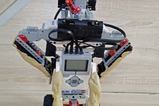 Russland - Wjatka-Schulkinder erfanden einen Falkenroboter, um Vögel zu verscheuchen