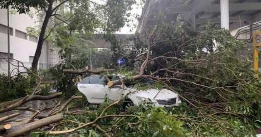 Gren från fallande träd i Punggol tränger igenom bilens vindruta, missar föraren med centimeter