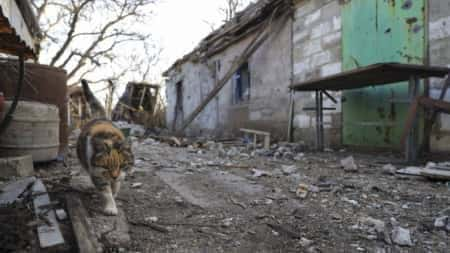 Doğu Ukrayna'da yeni can kaybı raporları