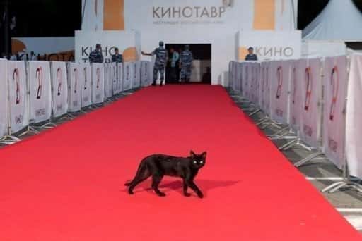 Ryssland - Filmfestival Kinotavr tillkännagav datumen och öppnade godkännandet av ansökningar