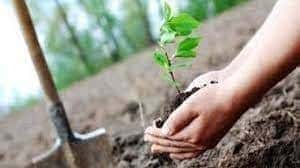 Initiative «Planter pour le Pakistan» pour inverser la déforestation et lutter contre le changement climatique