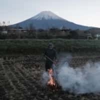 Unter dem Druck im Inland zieht sich Japans landwirtschaftlicher Kreditgeber von globalen Investitionen zurück