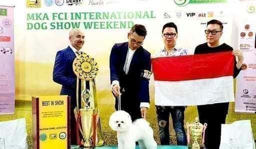 Jie-Jie reprezentuje Áziu na psej súťaži v Birminghame oslavuje desaťročie, Traveloka rozširuje program zliav až do 70 % Sandiaga Uno: Indonézska kreatívna slovná udalosť Awaken the Nation's Economy