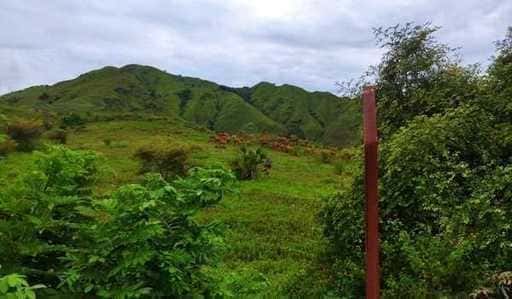 Nagekeo Regency primește o cotă de 2.875 de vite inter-insulare