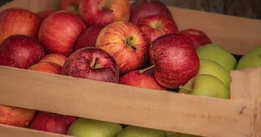 Молдова - Експорт молдавських яблук на територію РФ пов'язаний із безліччю проблем