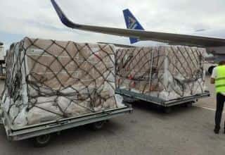 Уряд Грузії надіслав Україні 100 тонн гуманітарної допомоги
