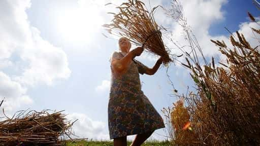 Albania received the last batch of Russian wheat after the imposition of sanctions