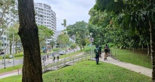 Procure por javalis para continuar até que seja capturado ou até que o Parque Yishun esteja seguro: Faishal