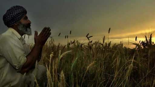 Пакистан і FCA зустрінуться 31 березня, щоб розглянути виробництво зернових культур Рабі