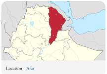 Etiopiens utredning avslöjar sexuellt våld, tortyr av TPLF