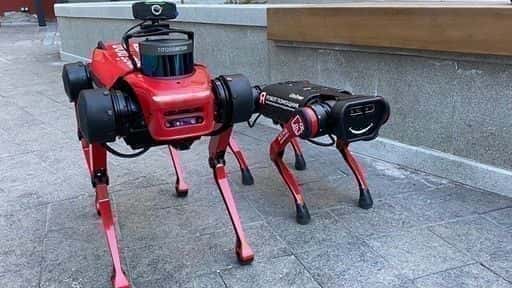 The State Inspectorate for Real Estate showed its robotic dogs to journalists