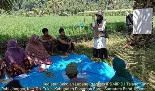 Jordbruksministeriet introducerar West Pasaman Farmers How to Control Rice Blast