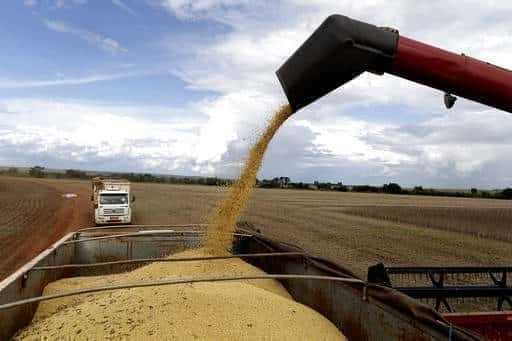 Падение доллара снижает стоимость сельскохозяйственной продукции после месячной войны в Украине