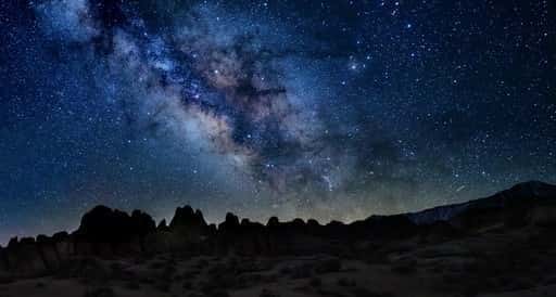 Study: Light pollution disorients nocturnal animals