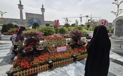 Иран ће положити свештеника којег је осумњичени џихадиста избо ножем