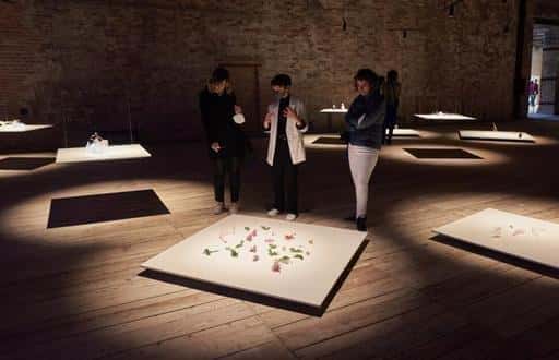 Турецкий павильон открывается на Венецианской биеннале