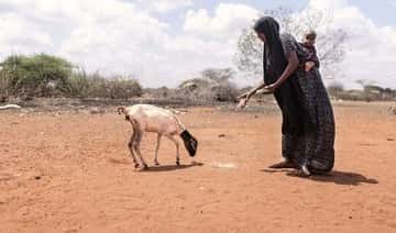 Britter omedvetna om Afrikas horns hungerkris: Enkät
