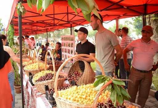 V Azerbajdžane sa po prvýkrát koná festival čerešní a čerešní