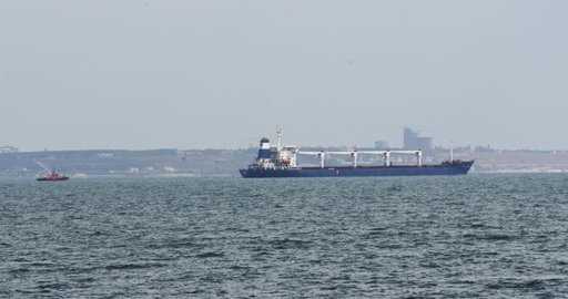 Ukrajina želi sporazum o varnem prehodu ladijskega prometa razširiti še na žito