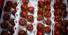 САЩ - Кризата с доматите се очертава в Калифорния, тъй като сушата се засилва