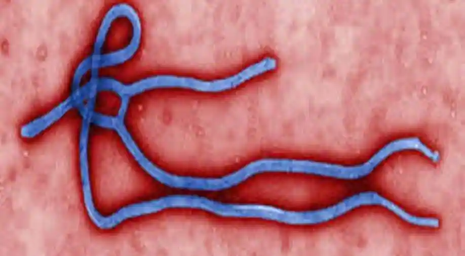 Ebolautbrott har deklarerats i Uganda av WHO
