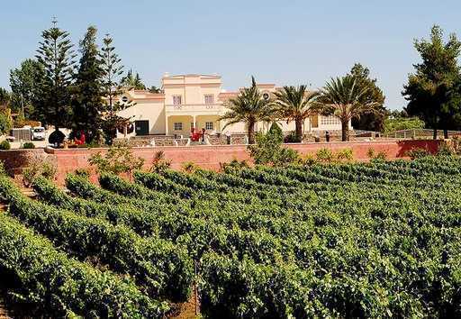 Portugalia - Regiuni viticole care sunt extrem de subestimate