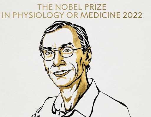Nobelpreis für Medizin für das Studium der menschlichen Evolution verliehen