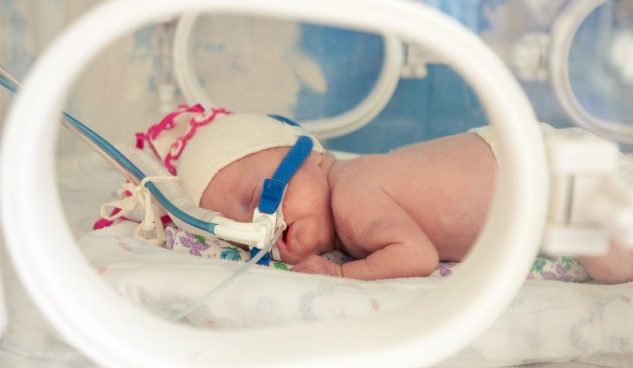 Rostec began developing a ventilator to save premature babies