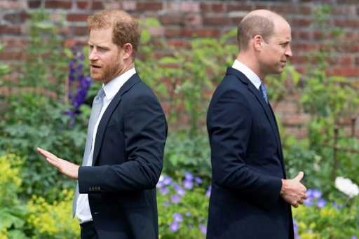 Le prince Harry vise William