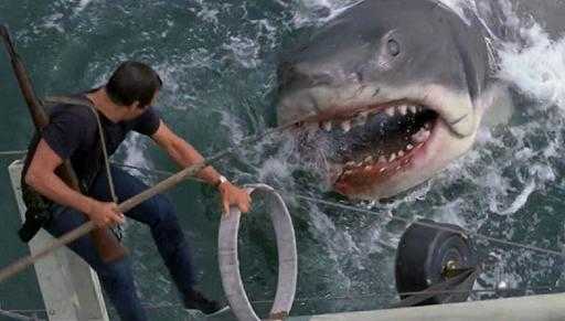 Spielberg betreurt de impact van 'Jaws' op de haaienpopulatie