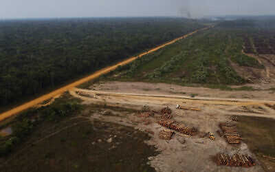 Un tiers de la forêt amazonienne endommagée par l'activité humaine et la sécheresse, selon une étude