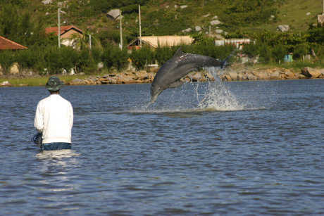Les dauphins et les humains bénéficient tous deux de la collaboration de la pêche