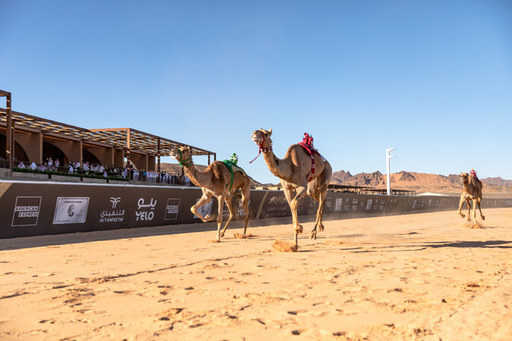 Les frères émiratis célèbrent le double triomphe de l'AlUla Camel Cup