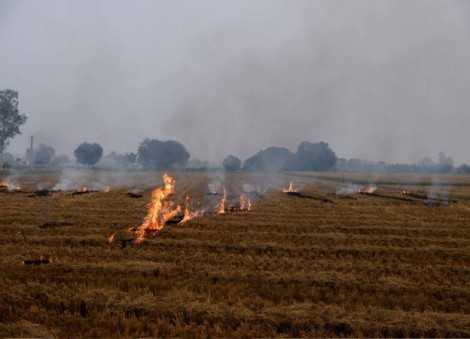 Gli agricoltori indiani continuano a bruciare le stoppie nonostante i costi per la salute