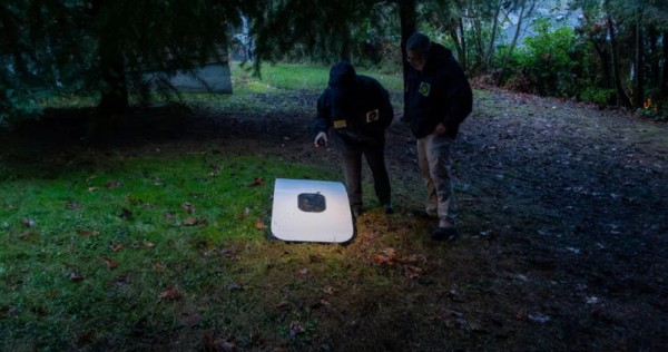 Oregonlu bir öğretmen arka bahçedeki ağaçlarda kayıp Boeing uçağı parçasını buldu