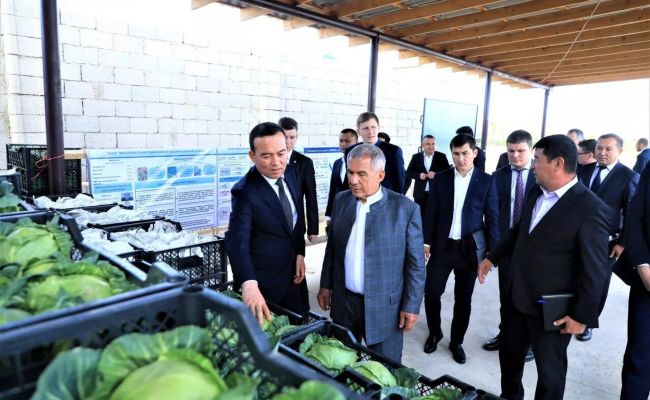 Russian Tatarstan and Surkhandarya region of Uzbekistan will develop ties