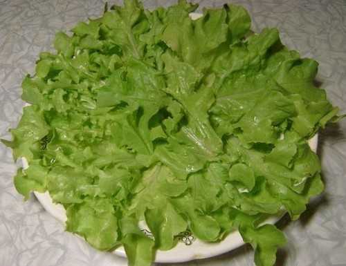 Зеленый салат с киви и семечками по народным рецептам
